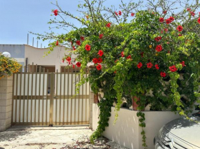 Monsant Casa Vacanze